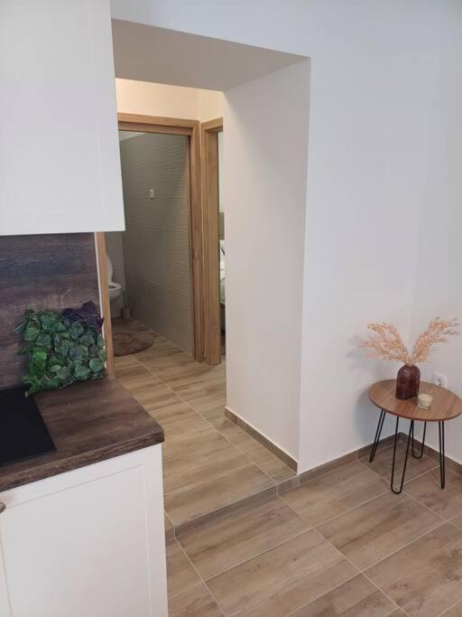 Central Vita Apartment Rijeka Exterior photo